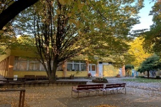 szekhely